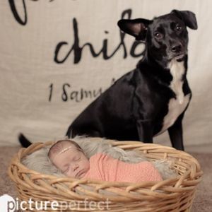 Meet your Posher, Charlie